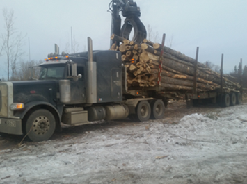 Logging truck