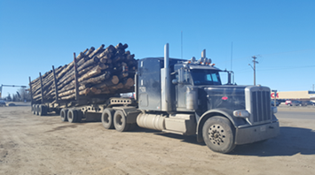 Logging truck